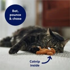 Frisco Squirrel Plush Cat Toy With Refillable Catnip 8 Frisco Squirrel Plush Cat Toy With Refillable Catnip -Cat Supplies Store 161271 PT3. AC SS1800 V1678723897