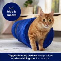 Frisco Foldable Play Tunnel With Mesh Cat Toy -Cat Supplies Store 166385 PT2. AC SS1800 V1686580143