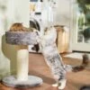 Frisco 24.8-in Heavy Duty Faux Fur Cat Tree 2 Frisco 24.8-in Heavy Duty Faux Fur Cat Tree -Cat Supplies Store 169397 MAIN. AC SS1800 V1680808632