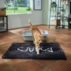 Frisco Microfiber Chenille Fish Bone Litter Mat -Cat Supplies Store 236242 PT3. AC SS1800 V1676556249