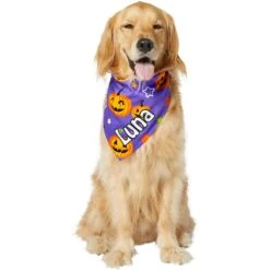 Frisco Halloween Pumpkins Personalized Dog & Cat Bandana -Cat Supplies Store 242815 PT6. AC SS1800 V1618509475