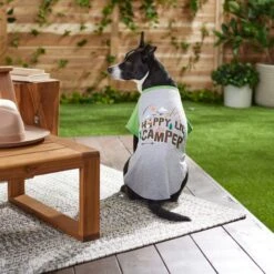 Frisco Happy Lil' Camper Dog & Cat T-Shirt -Cat Supplies Store 248789 PT7. AC SS1800 V1613670226
