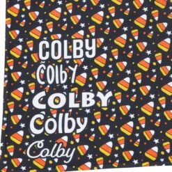 Frisco Candy Corn Personalized Dog & Cat Bandana 14 Frisco Candy Corn Personalized Dog & Cat Bandana -Cat Supplies Store 287056 PT4. AC SS1800 V1623849048