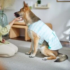 Frisco Green Tie Dye Dog & Cat Dress -Cat Supplies Store 312104 PT8. AC SS1800 V1644424641