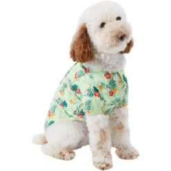 Frisco Hawaiian Floral Camp Dog & Cat Shirt -Cat Supplies Store 312168 PT3. AC SS1800 V1673304452