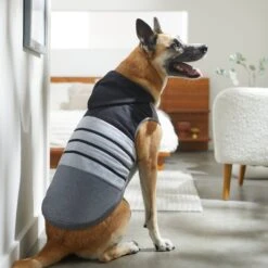 Frisco Gray Striped Dog & Cat Hoodie -Cat Supplies Store 317305 PT8. AC SS1800 V1646437959