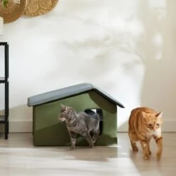 Frisco Extra Wide Indoor Unheated Cat House