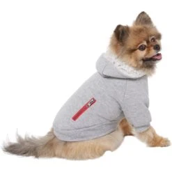 Frisco Sweatshirt Fleece Dog & Cat Hoodie With Sherpa Lining -Cat Supplies Store 742550 PT2. AC SS1800 V1703194378